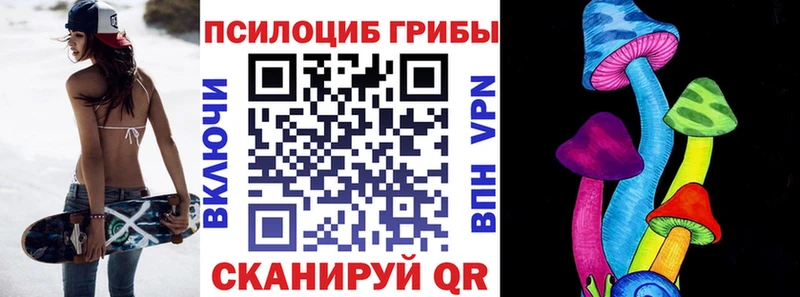даркнет формула  цена наркотик  мега ссылка  Курлово  Галлюциногенные грибы Magic Shrooms 